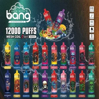 Bang 12000 Puffs